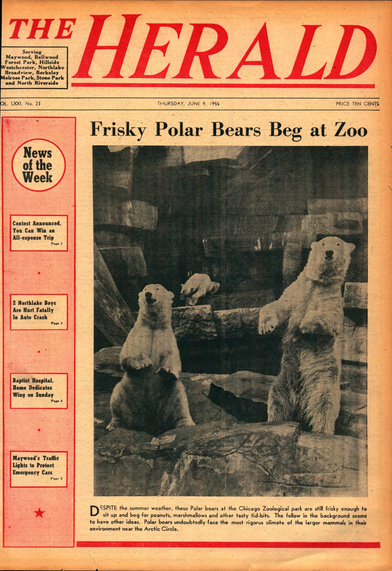 The Herald – 19550609