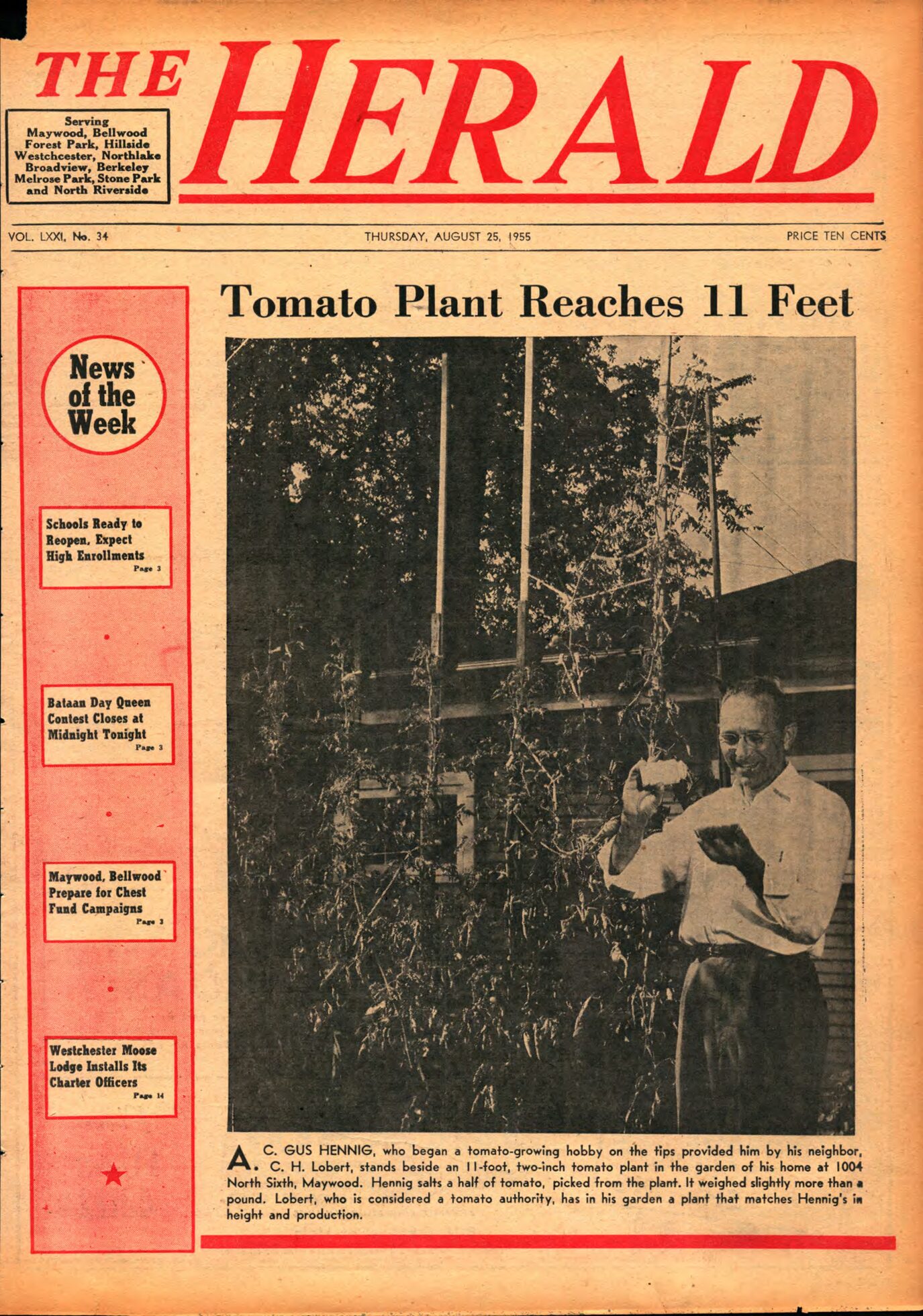 The Herald – 19550825